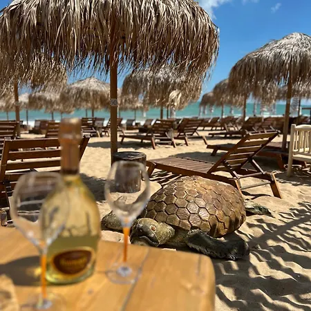 Seafront With Panoramic Terrace * Золотые Пески